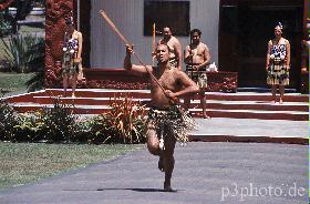 maori4new.jpg