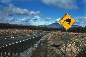 tongariro1new.jpg