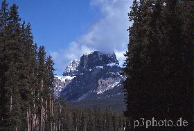 rockies2new.jpg